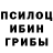 Псилоцибиновые грибы Cubensis Evhenii Krykun