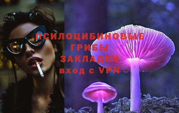 кокс Арсеньев