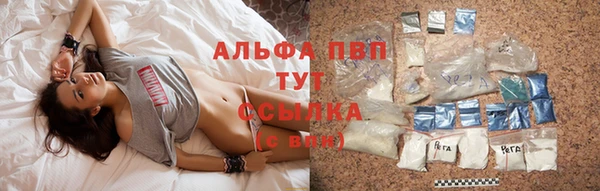 кокс Арсеньев
