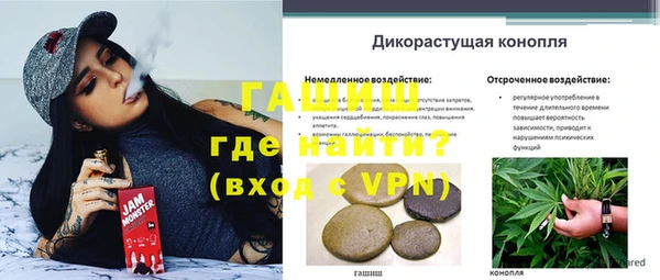 кокс Арсеньев
