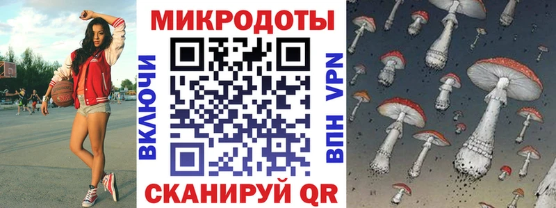 Галлюциногенные грибы Psilocybine cubensis  Сокол 